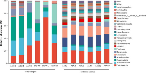 Figure 3. Analysis of the relative abundance at the phylum level of the bacterial community in the water bodies and sediment of Chengdong Lake.