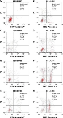 Figure 11 The apoptosis and necrosis of GLC-82 cells analyzed by flow cytometry after different treatments.