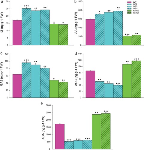 Figure 4. Phytohormone contents in tomato fruits of WT, SlMX1 and RNAi lines at breaking-ripening stage. (a) The active cytokinin tZ; (b) The auxin IAA; (c) The gibberellin GA3; (d) The ethylene precursor ACC; (e) The abscisic acid ABA. The data shown are the mean ± SE (n = 3). Single (*P < 0.05) and double (**P < 0.01) asterisks denote statistically significant differences between the transgenic and wild-type lines.