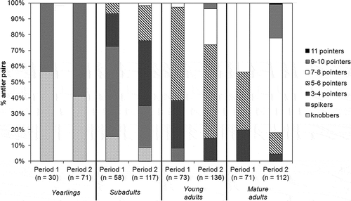 Figure 2. Number of tines/antler pairs in Mesola red deer stags of different age classes, in Period 1 and Period 2.