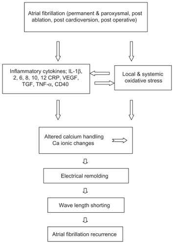 Figure 1 Role of inflammatory cytokines and oxidative stress in recurrence of atrial fibrillation.Abbreviations: IL, interleukin; CRP, C-reactive protein; VE GF, vascular endothelial growth factor; TGF, transforming growth factor; TNF, tumor necrosis factor.