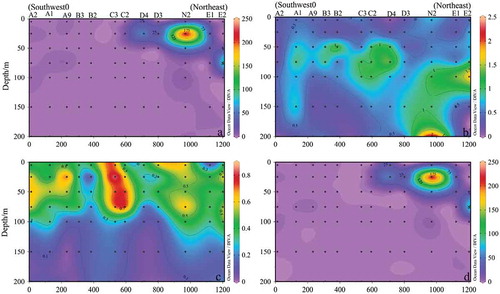 Figure 10. Sectional distribution of phytoplankton abundance in Section K (103 cells L−1). (a): Phytoplankton; (b): Bacillariophyta; (c): Dinophyta; (d): Trichodesmium thiebautii.