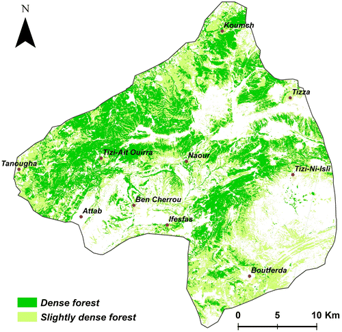 Figure 7. Forest stand density map for 2001. Source: Author.