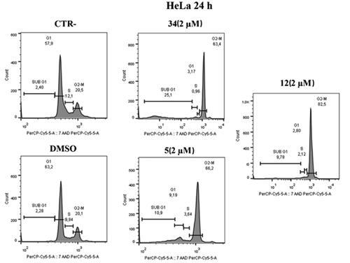 Figure 7. Distribution of HeLa cell in cell cycle assay. At 2 μM, both compounds 5 and 12 cause cell blockade in the G2/M phase compared to control and DMSO after 24 h. Compound 34 was used as a positive control.