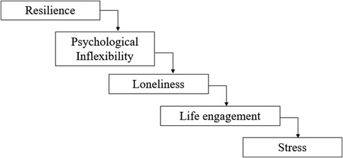 Figure 1. Conceptual framework: predictors of stress.