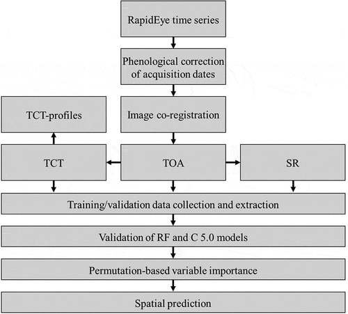 Figure 1. Schematic illustration of the applied workflow. TOA = top of atmosphere reflectance, TCT = Tasselled Cap Transformation, SR = surface reflectance, RF = random forests classification, C50 = C 5.0 boosted tree-based classification