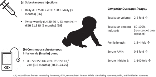 Figure 2. Combined gonadotropin therapy regimens and outcomes studied in male neonates and infants with congenital hypogonadotropic hypogonadism.