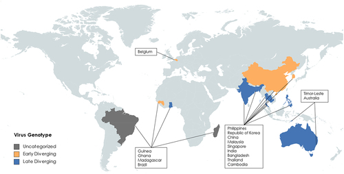 Figure 3. Map of where henipavirus related genomes have been sequenced or detected. Countries are subdivided into colours by proposed genotype, unchategorized genotypes are grey, early diverging genotypes are in Orange, late diverging genotypes are in blue. (created with mapchart.net).