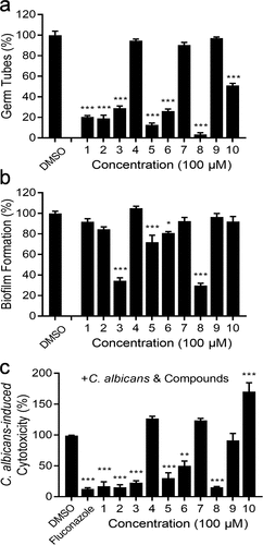 Figure 1. Influences of diaryl chalcogenides on C. albicans SC5314 hyphal formation, biofilm formation and virulence. Effects of diaryl chalcogenides on the hyphal formation (a) and biofilm formation (b) of C. albicans SC5314 at 100 µM. (c) analysis of the effect of compounds and fluconazole (1 µg/mL) on the cytotoxicity of C. albicans SC5314 to A549 cells. Cell cytotoxicity was detected and measured as LDH release. The LDH released by A549 cells in (c) after inoculation with C. albicans in the absence of compounds was defined as 100% and used to normalize the LDH release ratios of other treatments. The compounds were dissolved in DMSO, and the equivalent amount of DMSO was added as a control. Each experiment was performed at least three times in triplicate. Data represent the means ± standard deviation of three independent experiments. *, P < 0.05; **, P < 0.01; ***, P < 0.001 (unpaired t-test).