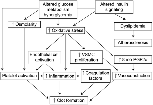 Figure 6. Mechanisms underlying increased clot formation in patients with diabetes.[Citation17] Altered glucose metabolism and insulin signaling increase platelet activation, inflammation and vasoconstriction, all of which increase clot formation. PG: prostaglandin; VSMC: vascular smooth muscle cell.