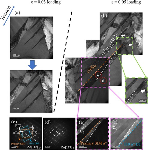 Figure 4. In-situ tensile TEM investigations of SIMα″ at Ti12Mo: (a, b) bright field image: at (a) ε = 0.03, (b) ε = 0.05; (c and d) SAED pattern taken from region indicated by circle in (b), and corresponding dark-field images of (e) primary SIMα″ and (f) 110α″ DT, respectively.