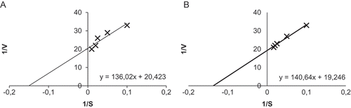 Figure 4. A: Lineweaver-Burk plots for both substrate of guaiacol; and B: H2O2 for peroxidase (wPOD) purified from wheat (Triticum aestivum ssp. Vulgare).