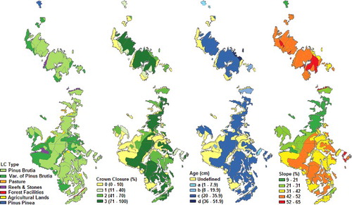 Figure 4. Result maps produced from spatial analysis.