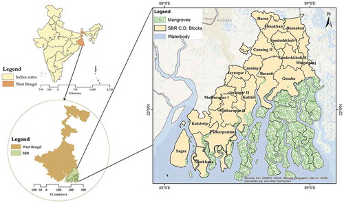 Figure 1. (a) Location of West Bengal in India, (b) location of SBR in West Bengal state, and (c) location of community development blocks in SBR