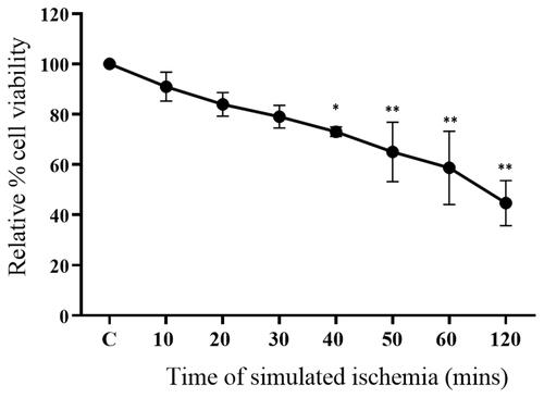 Figure 3 Optimization of time for simulated ischemia/reperfusion (sI/R) injury in primary porcine cardiomyocytes. The cells were incubated with different time points varying from 10 to 120 minutes. The percentage of cell viability was measured by MTT assay (n=4). Each bar graph represents the mean±SD. One-way ANOVA analyzed data with Tukey’s Multiple Comparison Test, *p<0.01, **p<0.0001 compared to control.