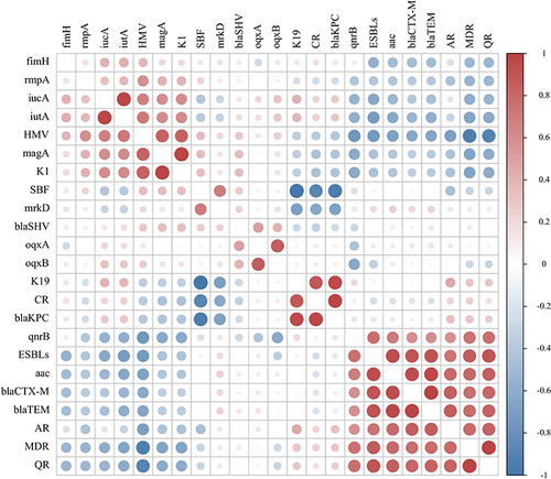 Figure 3 Pearson’s correlation analysis between phenotypes and genotypes of 20 K. pneumoniae isolated from sputum. Red is positive correlations and blue is negative correlations between different parameters.
