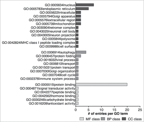 Figure 4. Distribution of the GO terms of the 21 human proteins listed in Kalvari et al. which have a verified xLIR in an intrinsically disordered region (see also Table S1). MF, Molecular Function; BP, Biological Process; CC, Cellular Component.