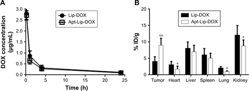 Figure S5 (A) Pharmacokinetics and (B) biodistribution of DOX in MCF-7 tumor-bearing mice upon Lip-DOX and Apt-Lip-DOX treatment. Mice were injected with 5 mg/kg DOX, and blood sampling was performed at the indicated time points and the organs collected 24 h after injection. The DOX concentration in the blood and organs was analyzed by HPLC. *P<0.05, **P<0.01 (n=5 in each group).Abbreviations: Apt, aptamer; DOX, doxorubicin; HPLC, high-performance liquid chromatography; ID, injected dose; Lip, liposome.