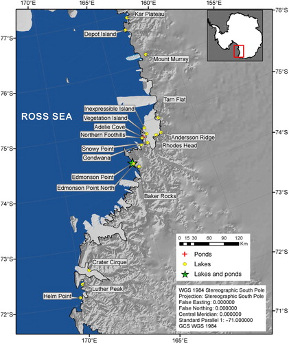 Fig. 1  Study area and sampling sites. (Modified from the Antarctic Digital Database [www.add.scar.org/home/add7] for the coastline and the Antarctic Geospatial Information Center, National Science Foundation, for the ground digital model.)