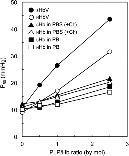 Figure 2. Oxygen affinities (P50 values) of SHb and HHb samples containing different amounts of pyridoxal 5’-phosphate (PLP), obtained from oxygen equilibrium curves measured using a Hemox analyzer at 37 °C. Phosphate buffered saline (PBS, pH 7.4) and phosphate buffer (PB, pH 7.4) were used for dissolving Hb to confirm the effect of Cl‐ anion. HbV is dispersed in hemox buffer.
