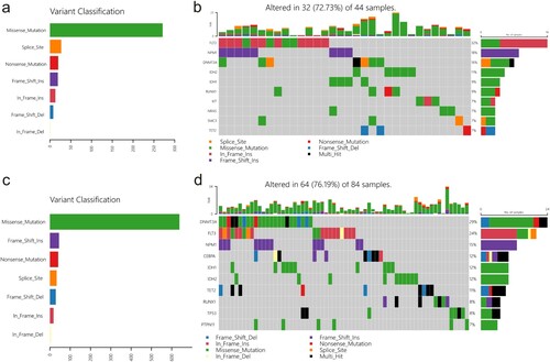 Figure 8. Different distributions of somatic mutations between low- and high-risk groups. (a and b) Mutation profile of low-risk group. (c and d) Mutation profile of high-risk group.