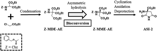Figure 1. Scheme for the synthesis of ASI-2 via the bioconversion of Z-MDE-AE to Z-MME-AE.Z-MDE-AE is synthesized by condensation. Z-MME-AE is synthesized by bioconversion of Z-MDE-AE. ASI-2 is synthesized from Z-MME-AE by cyclization, amidation, and deprotection. Z, Z-MDE-AE, Z-MME-AE, and ASI-2 indicate benzyloxycarbonyl group (Cbz), diethyl 2-benzyloxycarbonylamino-2-ethoxycarbonylsuccinate, (R)-1-ethyl hydrogen 3-benzyloxycarbonylamino-3-ethoxycarbonylsuccinate, and (R)-2-amino-2-ethoxycarbonylsuccinimide, respectively.