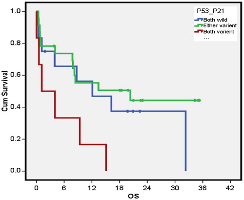 Figure 2. Impact of p53/p21 on OS in AML.