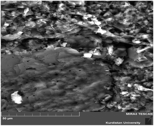 Figure 9. SEM image of the sample containing 20% MDFWA at 28 days.