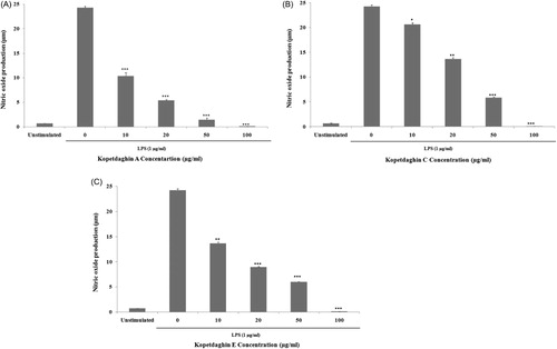 Figure 3. Evaluation of NO production by J774A.1 macrophages stimulated for 24 h with LPS alone or in combination with 10–100 μg/ml of kopetdaghin A (A), kopetdaghin C (B) and kopetdaghin E (C). Results are shown as mean ± SEM (n = 3). *P < 0.05, **P < 0.01 and ***P < 0.001 compared to LPS-stimulated macrophages.