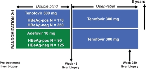 Figure 2 Study design of two randomized trials comparing the efficacy of tenofovir to adefovir in both HBeAg-positive and HBeAg-negative chronic hepatitis B patients. At or after week 72 there is an option to initiate emtricitabine–tenofovir combination therapy for confirmed HBV DNA > 400 copies/mL. Current follow-up is up to 96 weeks of treatment.Abbreviations: HBeAg, hepatitis B e antigen.