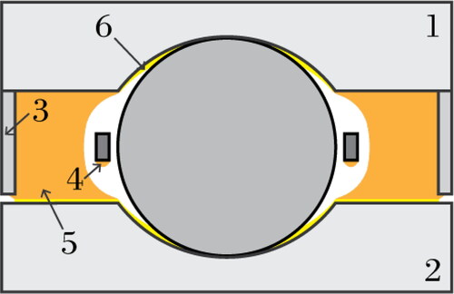 Fig. 1. Schematic representation (not to scale) of static grease bleeding in a ball bearing (cross-sectional view), assuming inner ring rotation. 1: Outer ring; 2: inner ring; 3:seal; 4: grease under the cage; 5: static grease reservoir and 6: oil film