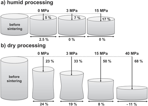 Figure 10. Shape evolution of compacted ZnO bodies before and after firing at 700 °C for 1 h for (a) humid and (b) dry processed green bodies. Axial and radial shrinkage are labeled for each applied external pressure.