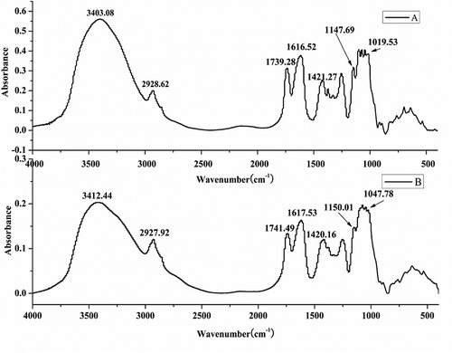 Figure 1. FTIR spectra of ROPs (A) and COPs (B).