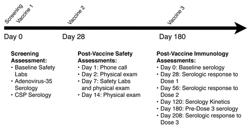 Figure 1. Schedule of events and outcome measures. Baseline screening assessments included complete blood counts; serum chemistries; hepatic enzymes; urinalysis; serologies for HIV, HCV, and HBV; and pregnancy testing. During post-vaccine safety visits, each subject’s memory aid was reviewed for adverse events. The primary outcome measure was the frequency and severity of local and systemic adverse events. Secondary outcome measures included anti-CS antibody titers (ELISA) and neutralizing antibody titers to adenovirus type 35.