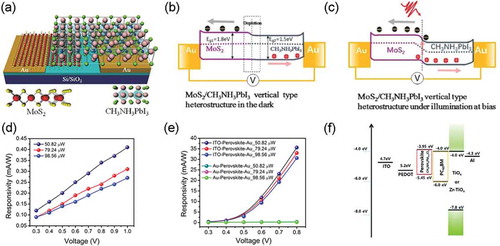 Figure 8. (a) Schematic structure and optoelectronic characteristics of the vertical structure MoS2/CH3NH3Pb3 photodetector. The effects of drain biased and illumination on carrier transportation and separation under (b) dark and (c) under illumination based on the diagram of the MoS2/CH3NH3Pb3 vertical photoconductor [Citation80]. Copyright from 2018 Adv. Mater. Interfaces. The photoresponsivity of the planar (d) and vertical (e) photodetectors based on a 2D CH3NH3PbI3 perovskite nanosheets. Incident light: 635 nm [Citation56]. Copyright from 2017 J. Phys. D. (f) Energy diagram of the perovskite photodetector composed of ITO/PEDOT:PSS/CH3NH3PbIxCl3-x/PC60BM/Zr–TiOx/Al [Citation99]. Copyright from 2018 RSC Adv.