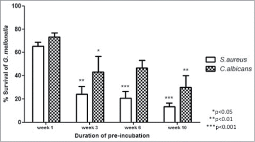 Figure 1. Susceptibility of G. mellonella larvae to infections with S. aureus or C. albicans. Larvae were incubated at 15°C for 1, 3, 6 or 10 weeks in advance of infection with S. aureus or C. albicans. Larvae were subsequently incubated for 24 h at 30°C at which time the survival was assessed. All values are the mean ± SE of 3 independent determinations. (p refers to susceptibility compared to week 1 response).