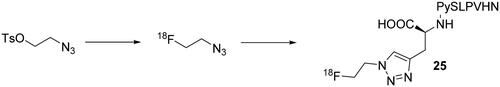 Scheme 8. Synthesis of CA IX-P1-4–10 derivative 25.