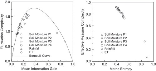 Fig. 3 Information theory-based measures of daily rainfall, evaporation, and soil moisture content time series.