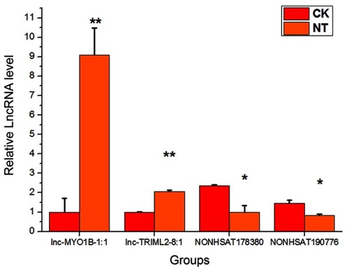 Figure 5 qRT-PCR validation results of four randomly selected lncRNAs. The target lncRNA expression levels were normalized to the internal control GAPDH. The data are presented as the mean ± standard deviation (n=3).*p<0.05,**p<0.01 significantly different from the CK group, Student’s t-test (two tailed).