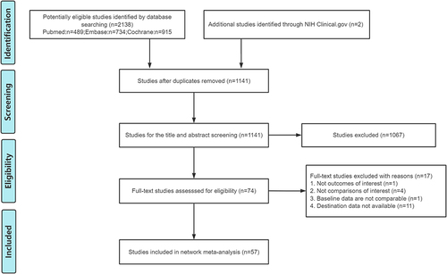 Figure 1 Flow diagram of the literature search and study.