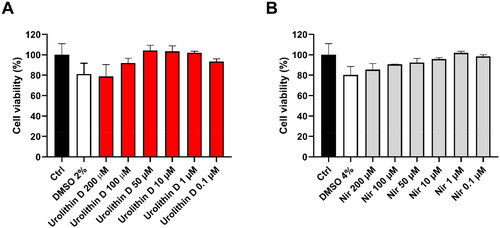 Figure 10. Cytotoxic effect of urolithin D (11) and nirmatrelvir (1) on Vero E6 cells. Cells were incubated with different concentrations of urolithin D (A) or nirmatrelvir (B) for 24 h and cellular viability was assessed through the MTT reduction assay. Data are expressed as mean ± SD of cell viability percentage with respect to control from two independent experiments performed in triplicate.