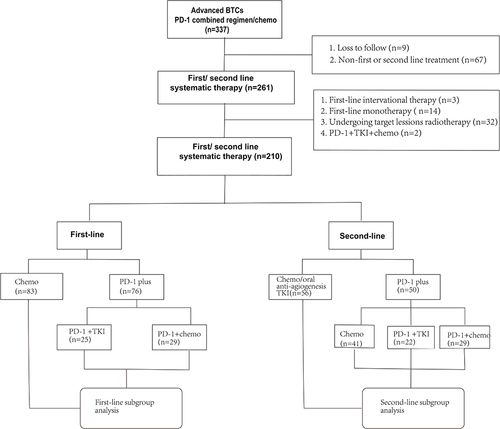 Figure 1 Flow chart of the patient inclusion.