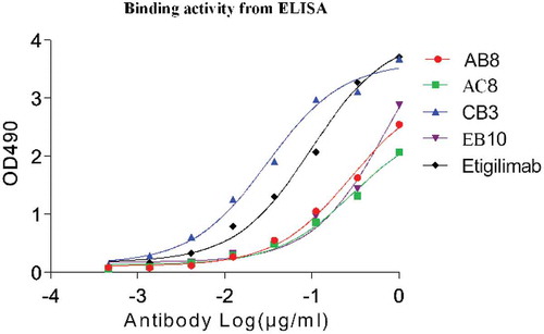 Figure 7. The EC50 of binding activity of eukaryotic expression of the monoclonal antibody (full-length IgG) to the antigen in an ELISA assay. The black curve indicates positive control antibody-binding activity.