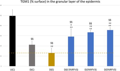 Figure 10 Image analysis for % surface positive immunostaining of transglutaminase-1 in the epidermis granular layer with day 1 explants. Error bars represent SD. Explants analyzed: 18 (6 batches, 3 explants per batch). Image analyses n=9 (3 images per explant). Treated samples vs U(C): §§ for p < 0.01. Treated vs D(C): † for p < 0.05 and †† for p < 0.01. Treated samples vs D(E) ** for p < 0.01.