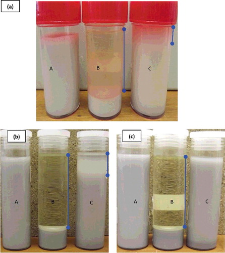 Figure 11. Sedimentation rate of Al2O3–glycerol nanofluids for 5% Al2O3 concentration (a) prepared with 4.99 × 106 kJ/m3, after 3 months of preparation; (b) and (c) prepared with 1.5 × 107 and 3.0 × 107 kJ/m3, respectively, after 12 months of preparation: (A) 20–30 nm, (B) 80 nm, (C) 100 nm.
