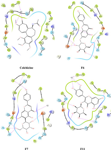Figure 9 Ligand and protein molecular interactions for colchicine, F6, F7, and F11 with the β-Tubulin binding site using glide XP scoring tool.
