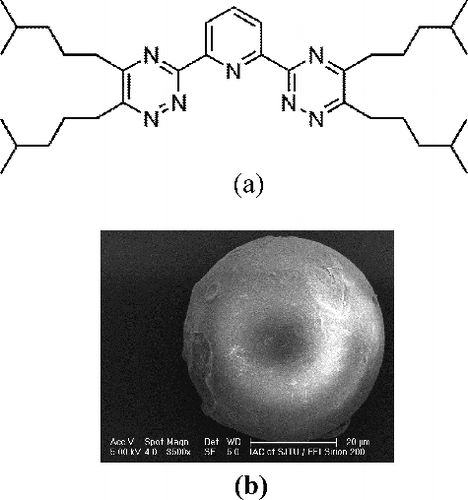 Figure 1. (a) Chemical structure of isoHexyl-BTP (isoHexyl-BTP: 2,6-bis(5,6-diisohexyl)-1,2,4-triazin-3-yl)pyridine). (b) SEM image of isoHexyl-BTP/SiO2-P.