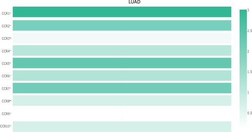 Figure 3 The relative expression level of CC chemokine receptors in LUAD (GEPIA).