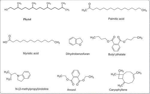 Figure 3. Structures of bioactive compounds sorted out from the GC(FID-MS) analysis