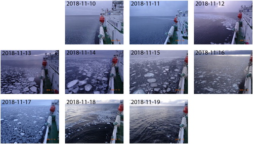 Figure 5. Sea ice conditions at the conductivity, temperature and depth (CTD) observation stations in the marginal ice zone for 10–19 November 2018. Photographs were taken between 2000 and 2300 UTC. (The original date is shown in the right bottom corner of each photograph).